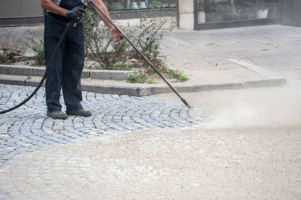 Best Fence Cleaning  in Ramona, CA